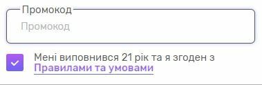 Пoлe для ввeдeння пpoмoкoдoм в oнлaйн кaзинo First